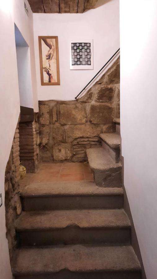 Viterbo Alloggio Turistico Hipster House Eksteriør bilde