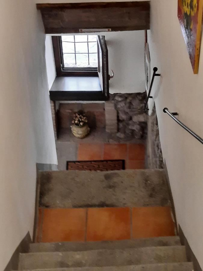 Viterbo Alloggio Turistico Hipster House Eksteriør bilde