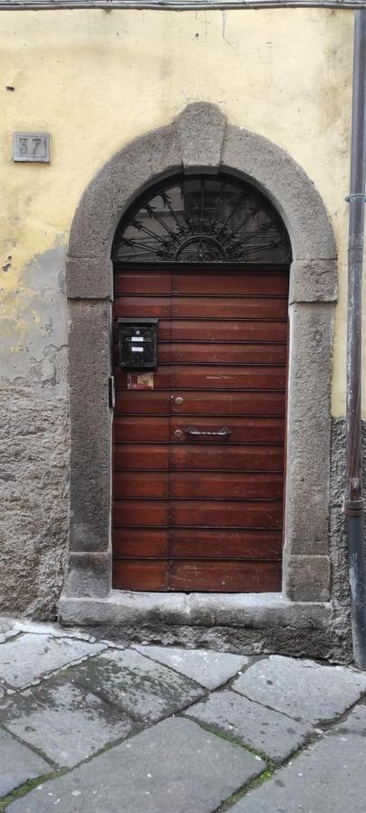 Viterbo Alloggio Turistico Hipster House Eksteriør bilde